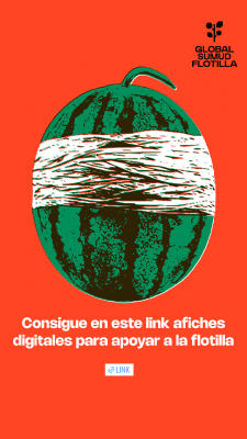 STORIE DESCARGA DIGITAL.jpg